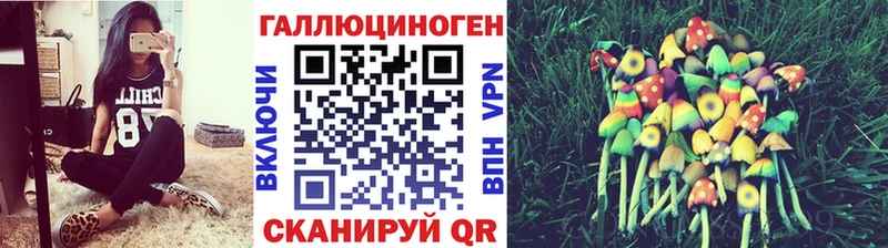 купить наркотики сайты  Шилка  MEGA   Галлюциногенные грибы Cubensis 